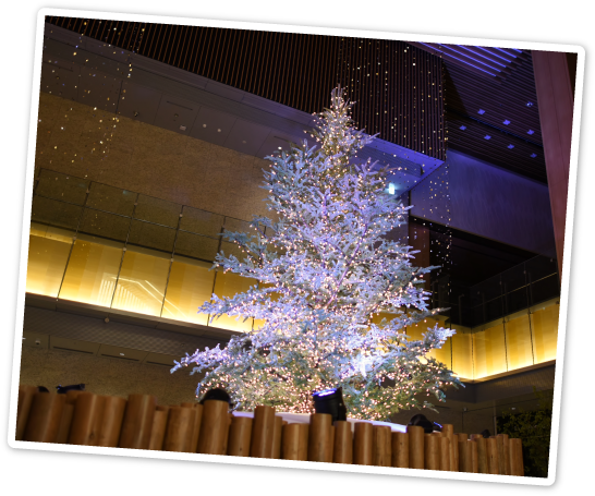 ＫＩＴＴＥ名古屋 クリスマスツリー