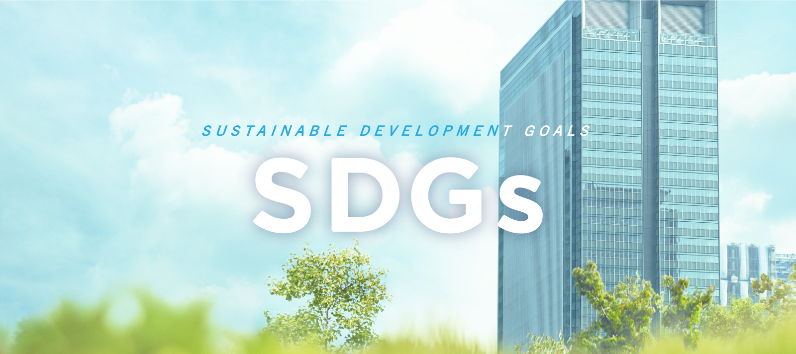 SDGs